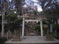 鳩之森神社３