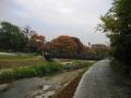 武蔵陵墓地への道