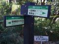 鎌倉(祇園ハイキングコース２００９年１月）１４