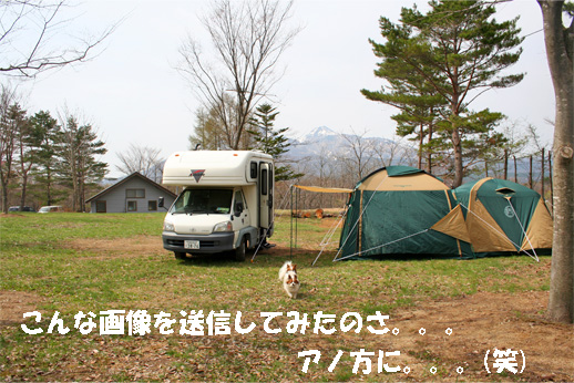 camp2.jpg