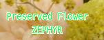 Preserved Flower ZEPHYR